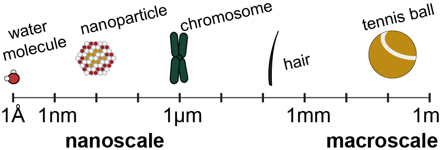 length scales depicting the nanoscale in relation to the macroscale